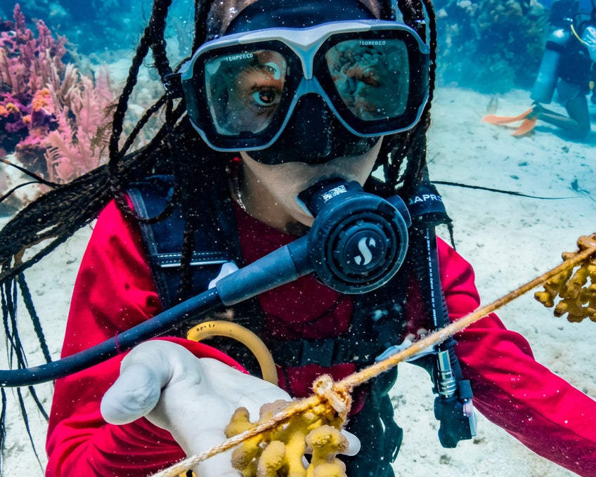 An underwater lifestyle shot of a scuba diver wearing a red long-sleeve top, black mask, and breathing tube, holding a piece of coral in their gloved hand. The diver has long black braided hair and is surrounded by blue ocean water and coral reefs.