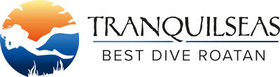 Best Dive Roatán